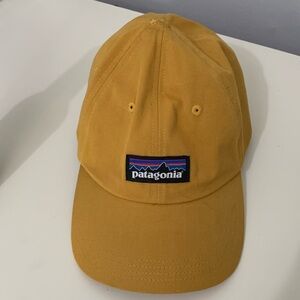 Patagonia hat